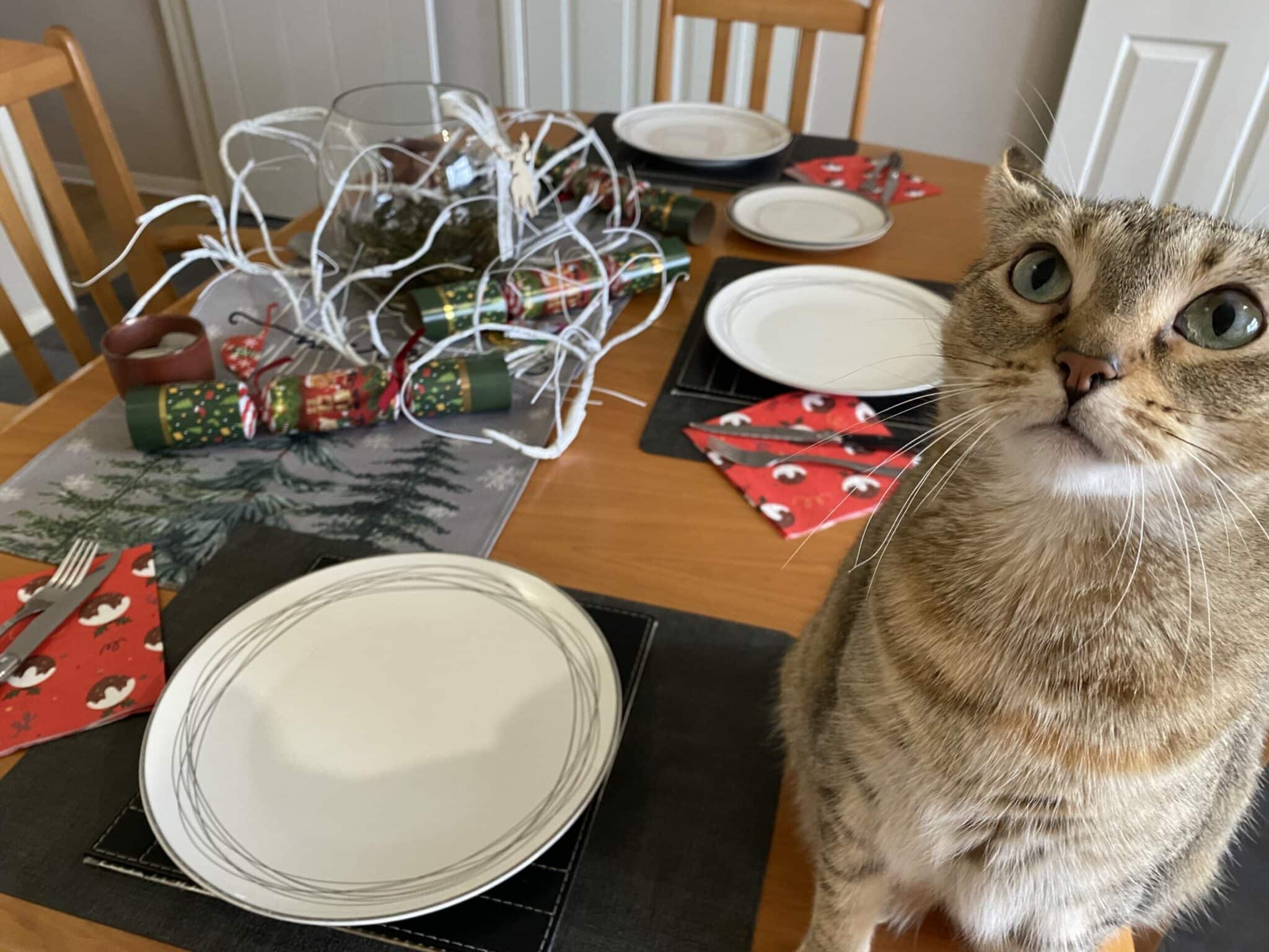 Tiller ponders what might need knocking off the holiday table