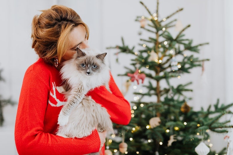 Woman hugging a cat beside a christmas tree