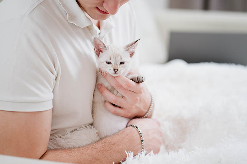 young man holding a young white kitten