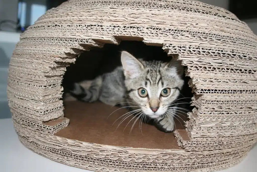 Cat Igloo by Instructables